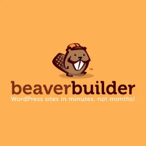 Beaver Builder Services